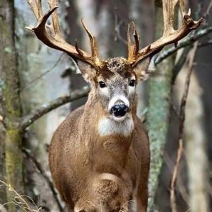 Meet your Posher, Jon